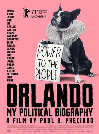 ORLANDO, MA BIOGRAPHIE POLITIQUE