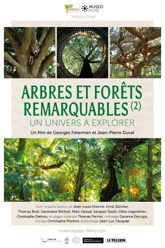 ARBRES ET FORETS REMARQUABLES UN UNIVERS A EXPLORER 2