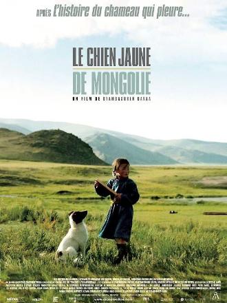 LE CHIEN JAUNE DE MONGOLIE