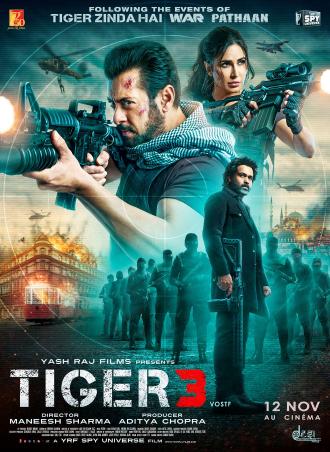 TIGER 3 - VERSION HINDI