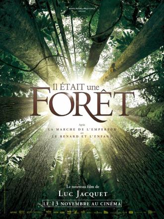 IL ETAIT UNE FORET