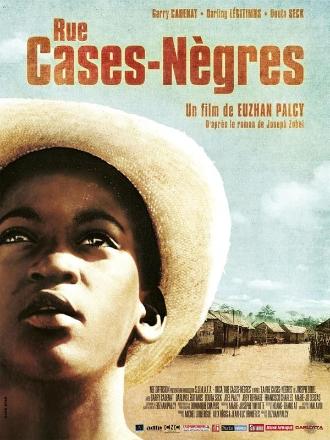 RUE CASES NEGRES